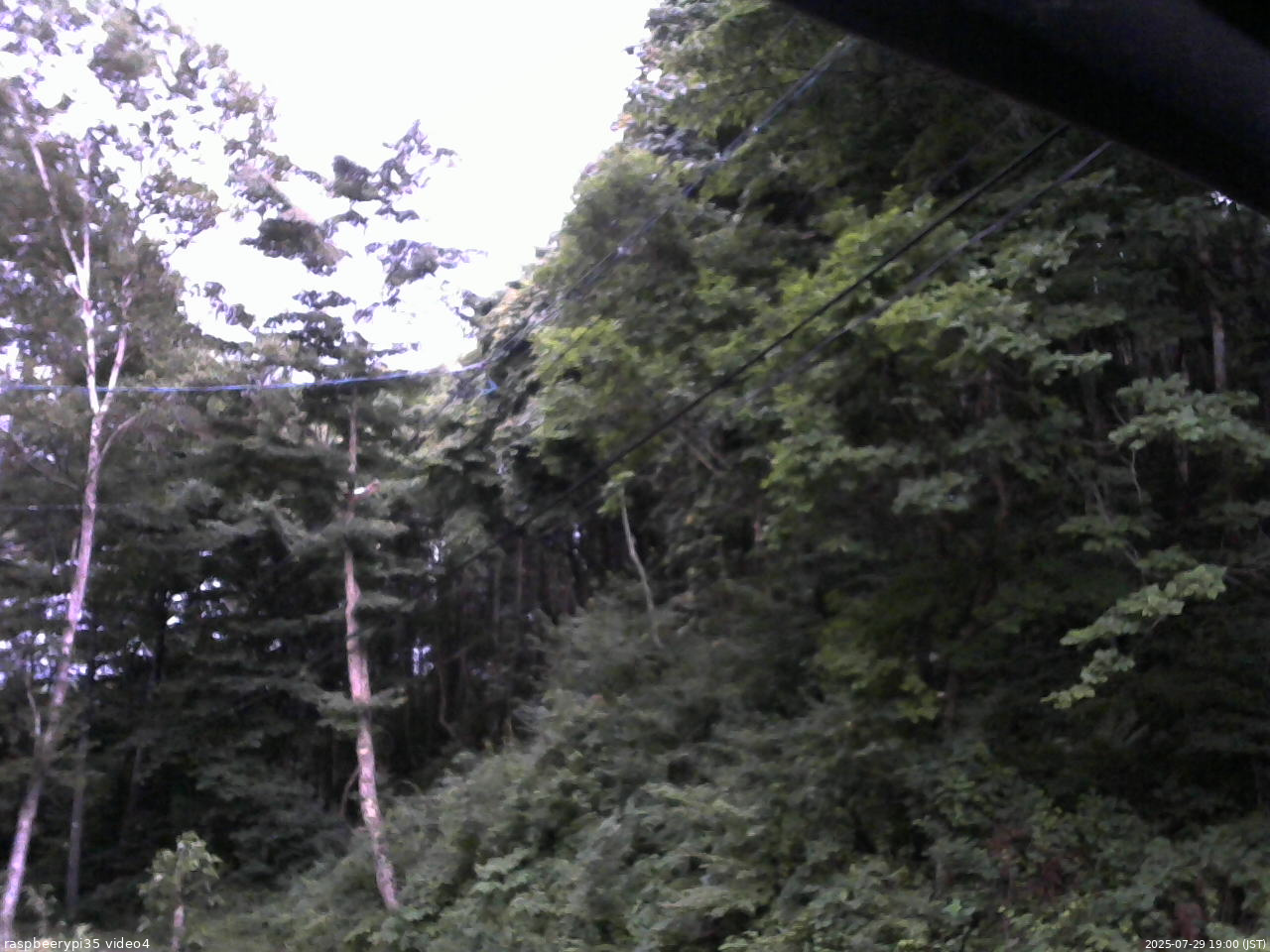 長野県菅平高原 ゆたか山荘 東側上空 2025/07/29 19:00