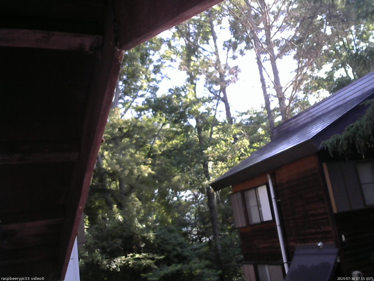 長野県菅平高原 ゆたか山荘 北側 2025/07/30 07:15