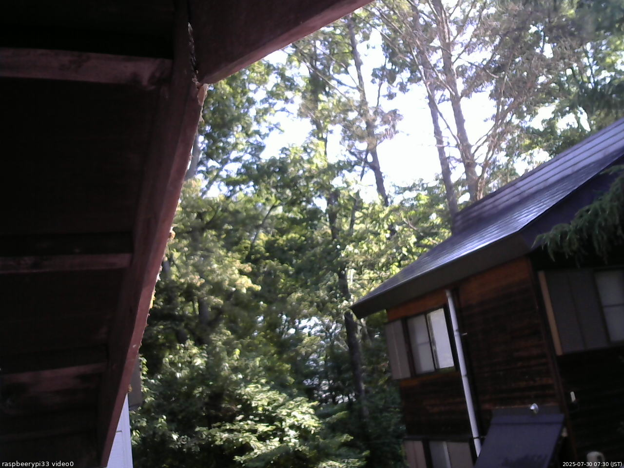 長野県菅平高原 ゆたか山荘 北側 2025/07/30 07:30