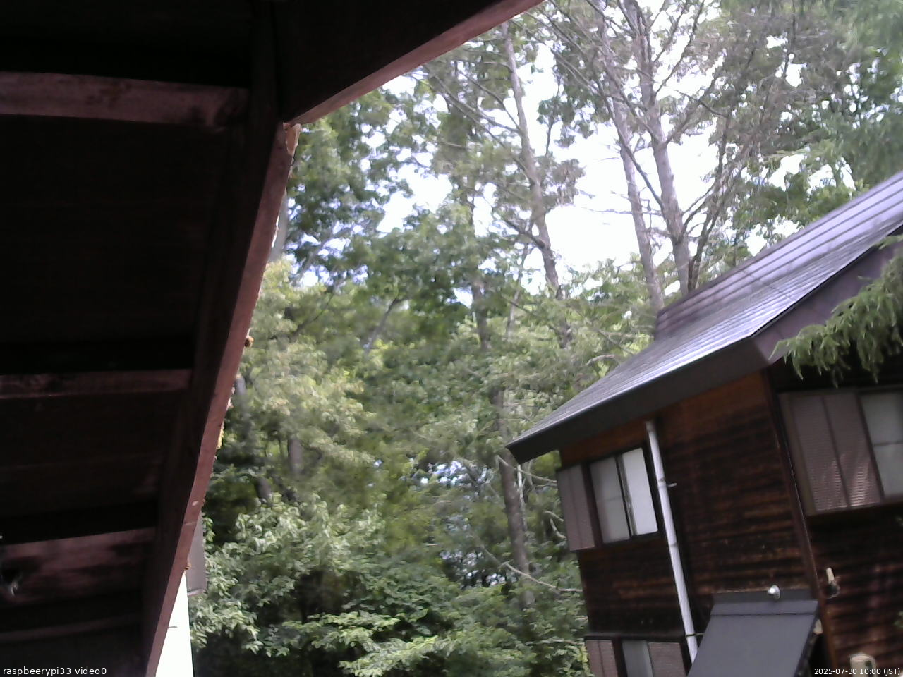 長野県菅平高原 ゆたか山荘 北側 2025/07/30 10:00