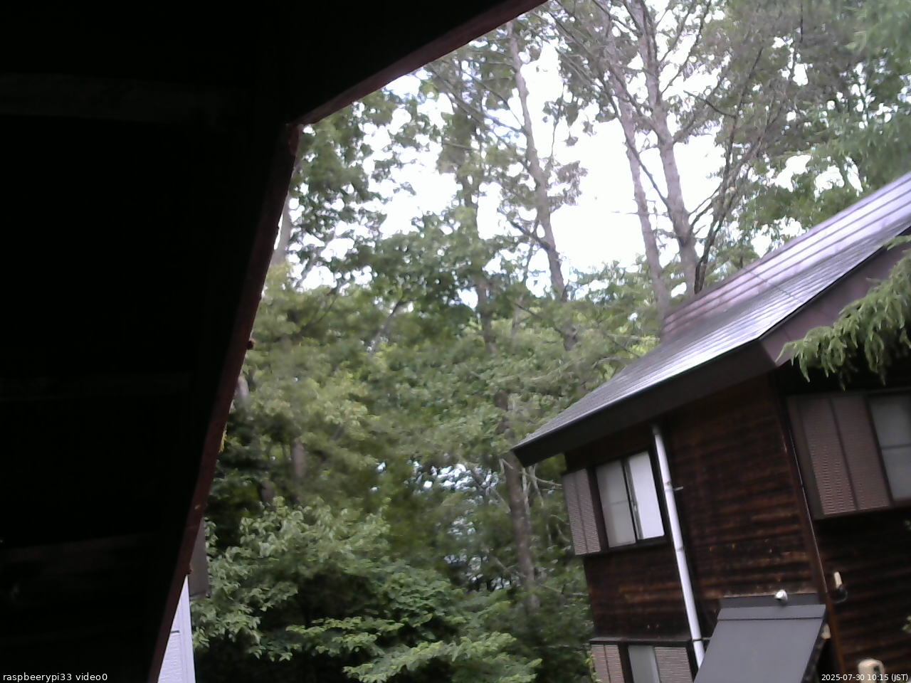 長野県菅平高原 ゆたか山荘 北側 2025/07/30 10:15