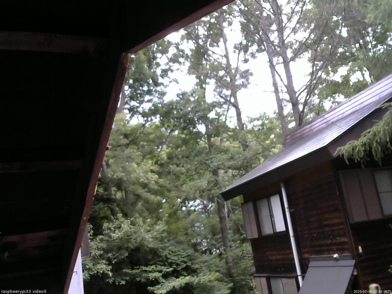 長野県菅平高原 ゆたか山荘 北側 2025/07/30 10:45