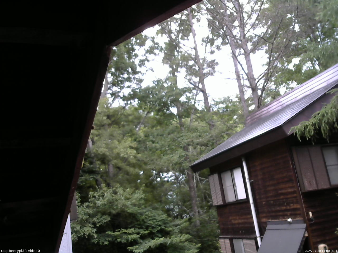 長野県菅平高原 ゆたか山荘 北側 2025/07/30 11:00
