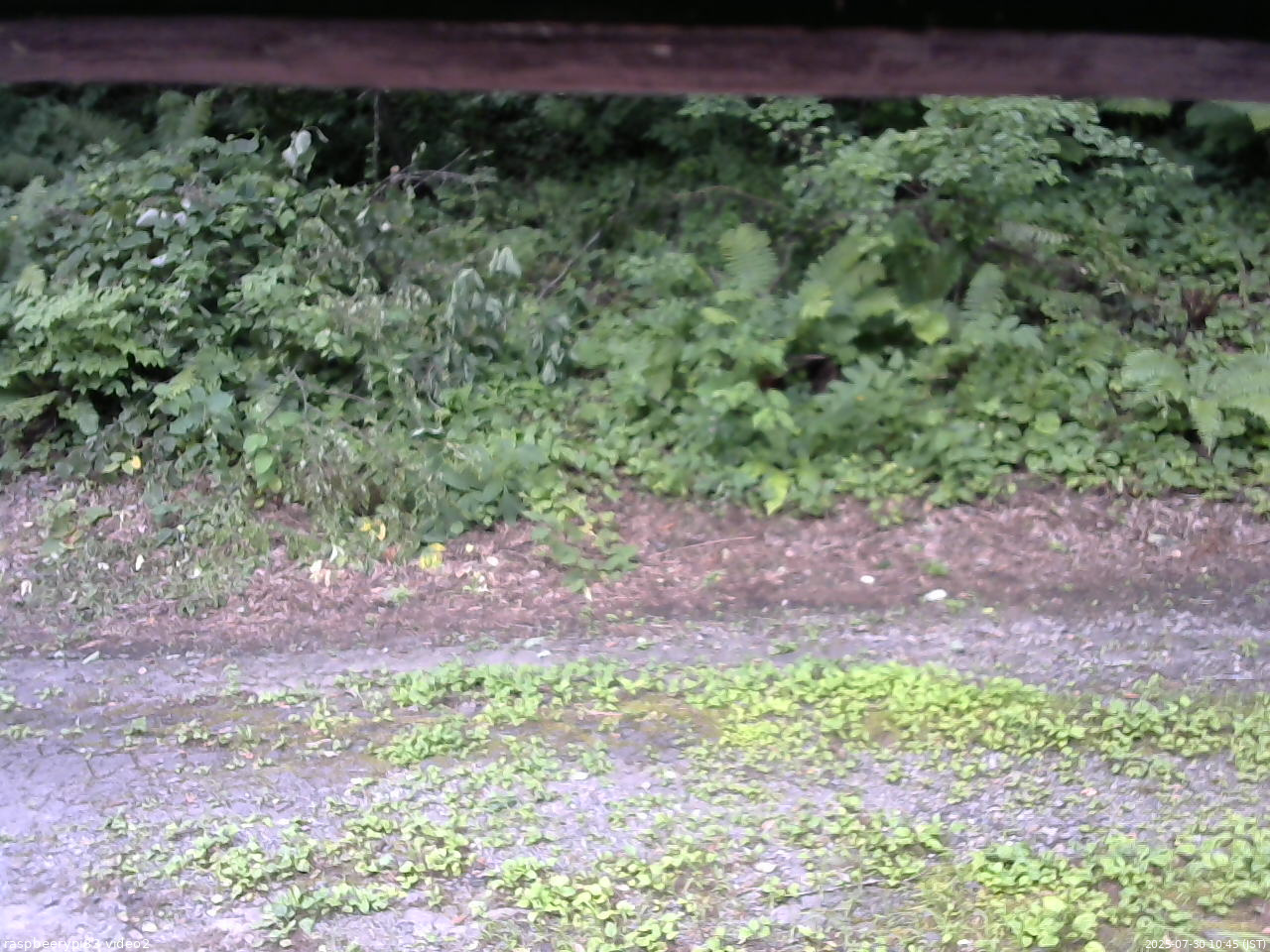 長野県菅平高原 ゆたか山荘 南側 2025/07/30 10:45