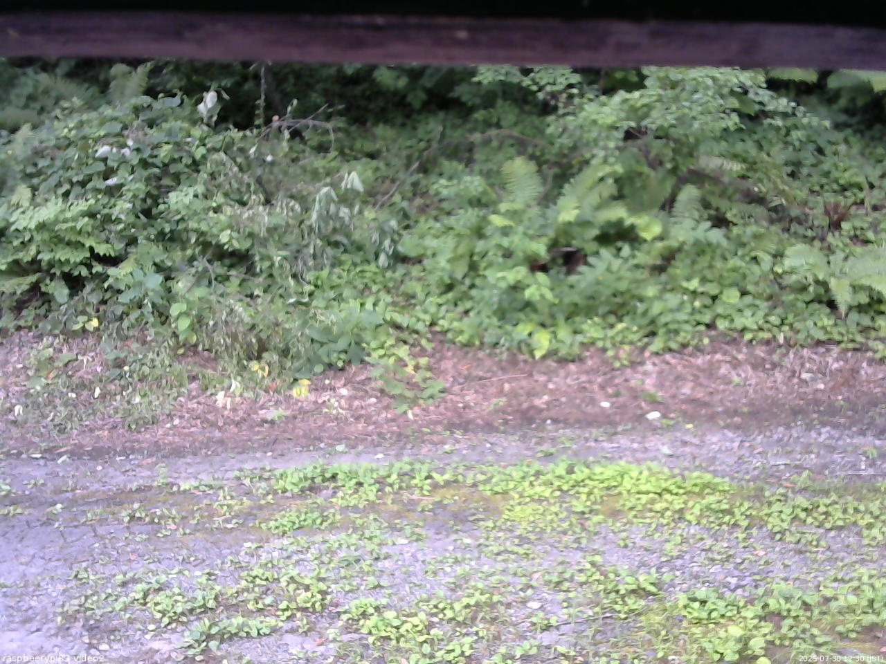 長野県菅平高原 ゆたか山荘 南側 2025/07/30 12:30