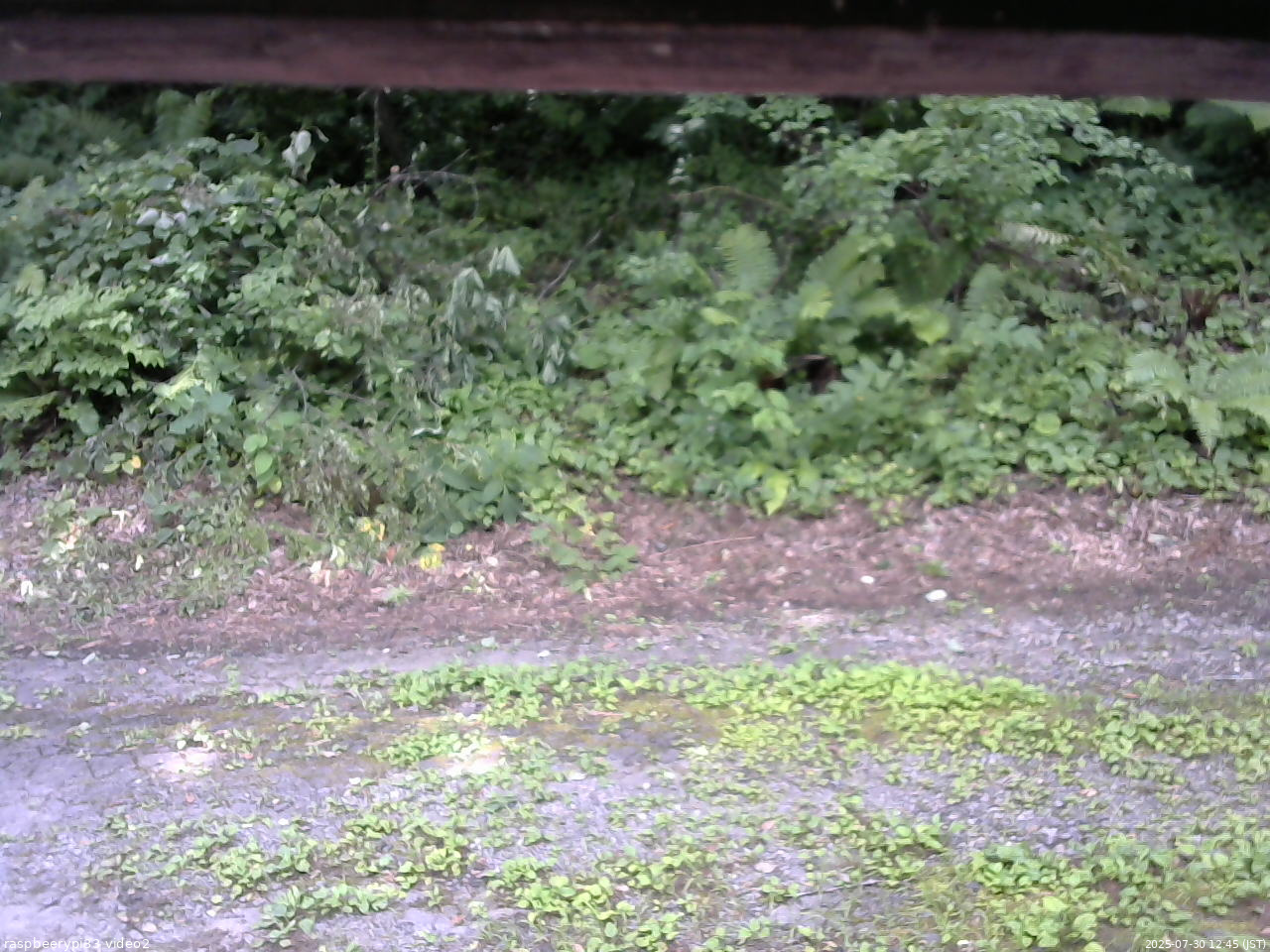 長野県菅平高原 ゆたか山荘 南側 2025/07/30 12:45
