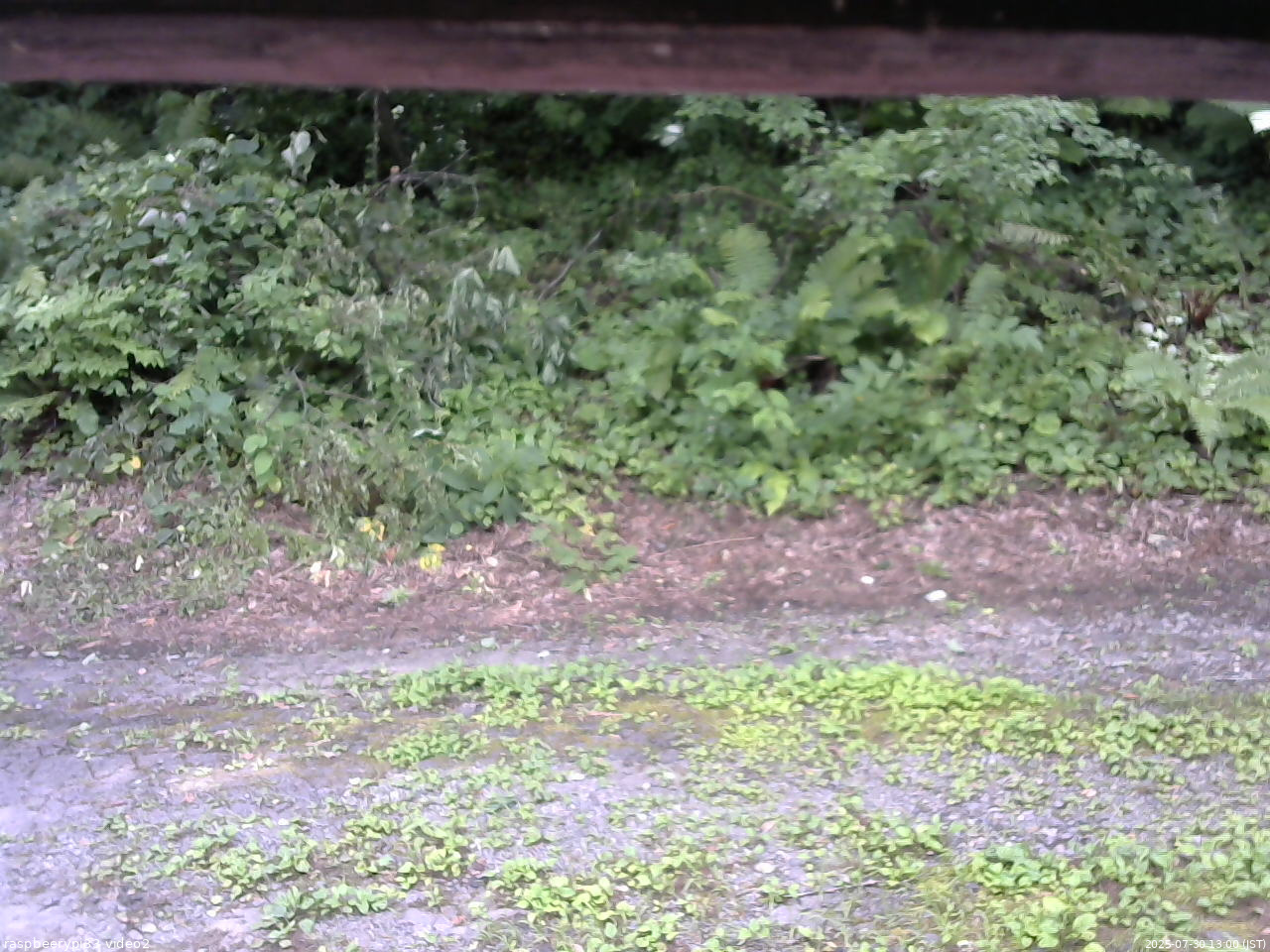 長野県菅平高原 ゆたか山荘 南側 2025/07/30 13:00