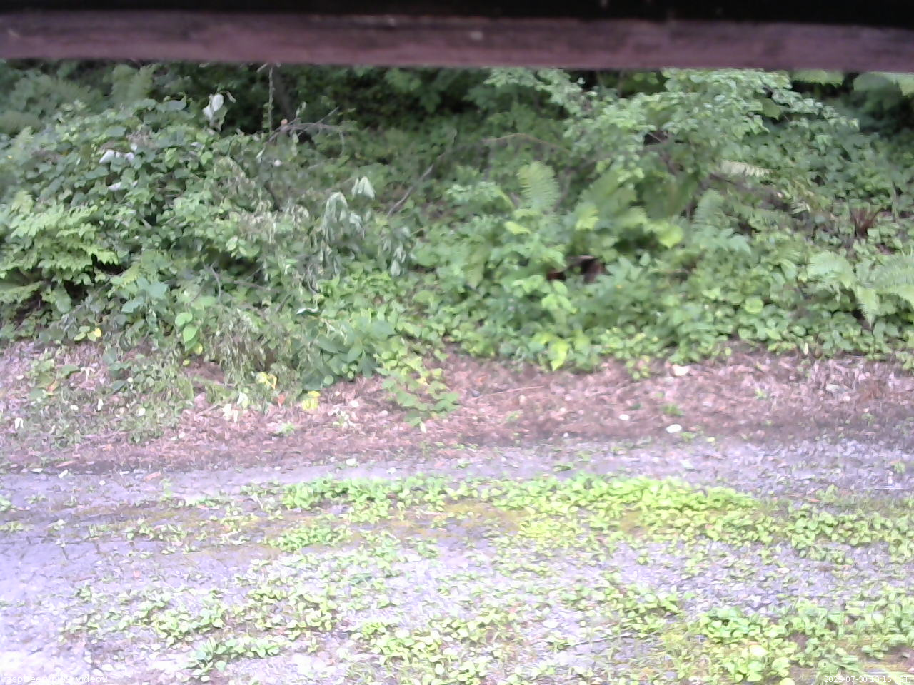 長野県菅平高原 ゆたか山荘 南側 2025/07/30 13:15
