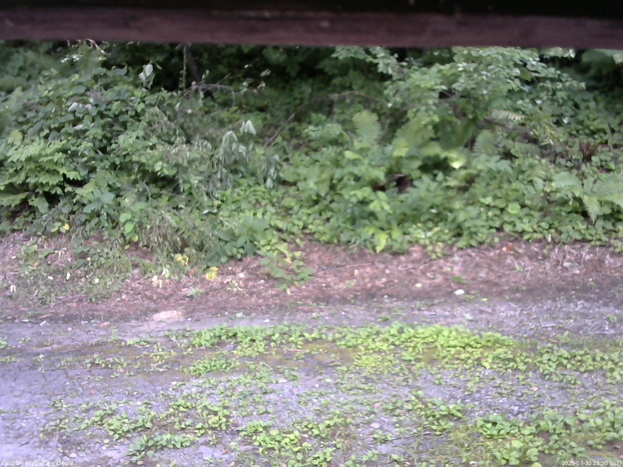 長野県菅平高原 ゆたか山荘 南側 2025/07/30 13:30