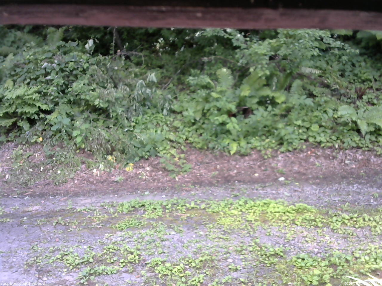 長野県菅平高原 ゆたか山荘 南側 2025/07/30 14:00