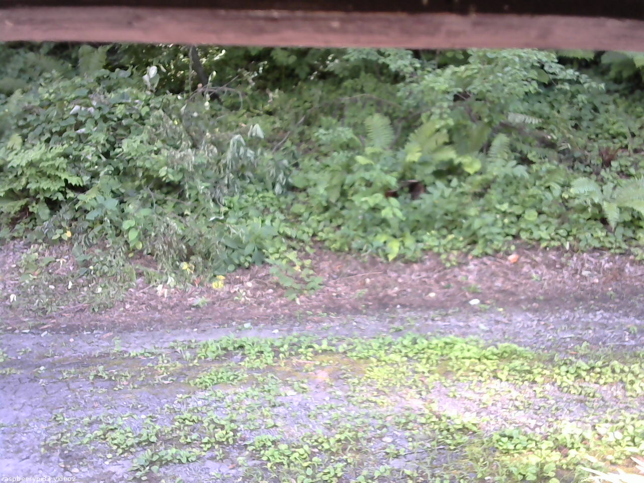 長野県菅平高原 ゆたか山荘 南側 2025/07/30 14:30