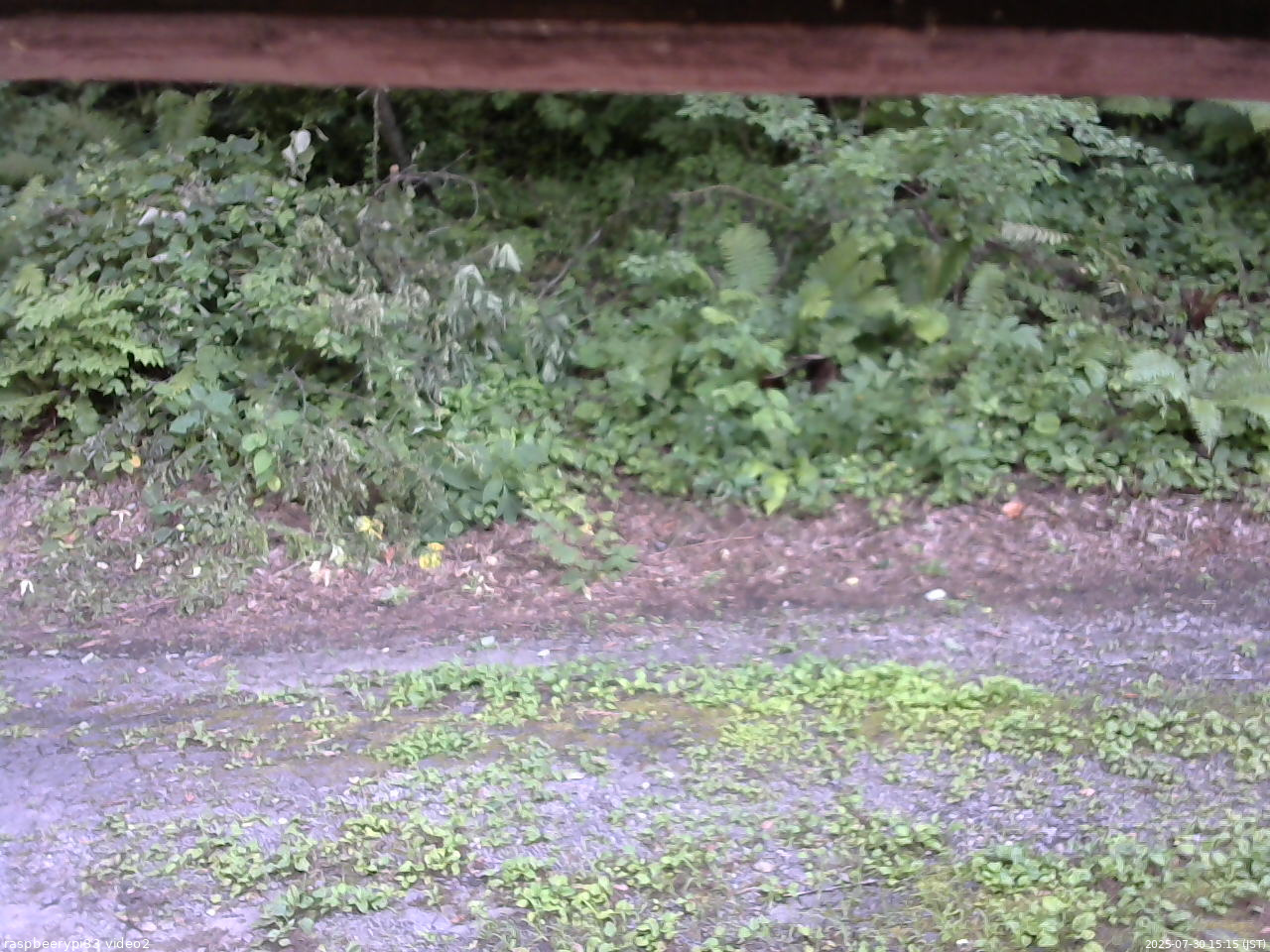 長野県菅平高原 ゆたか山荘 南側 2025/07/30 15:15