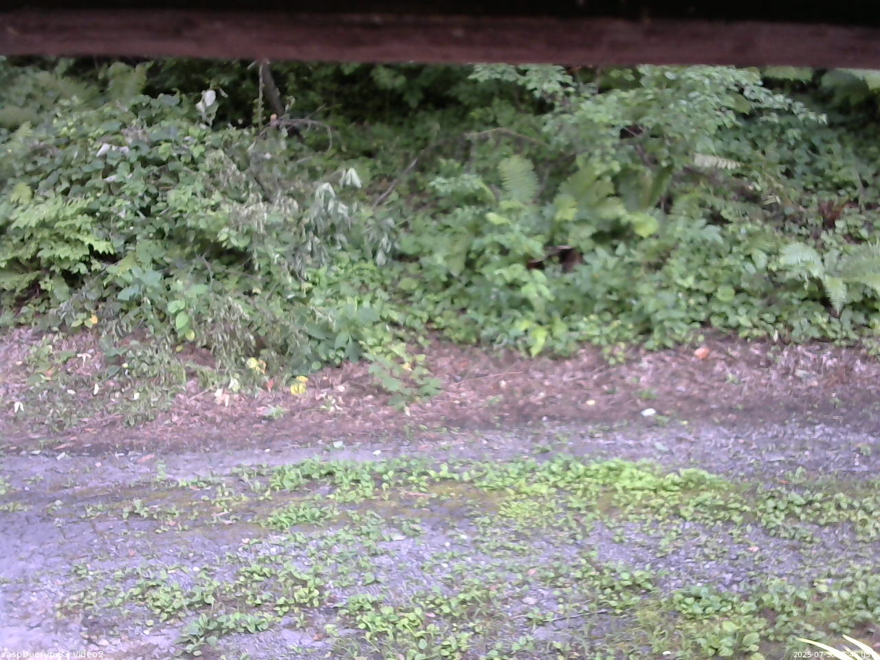 長野県菅平高原 ゆたか山荘 南側 2025/07/30 15:45