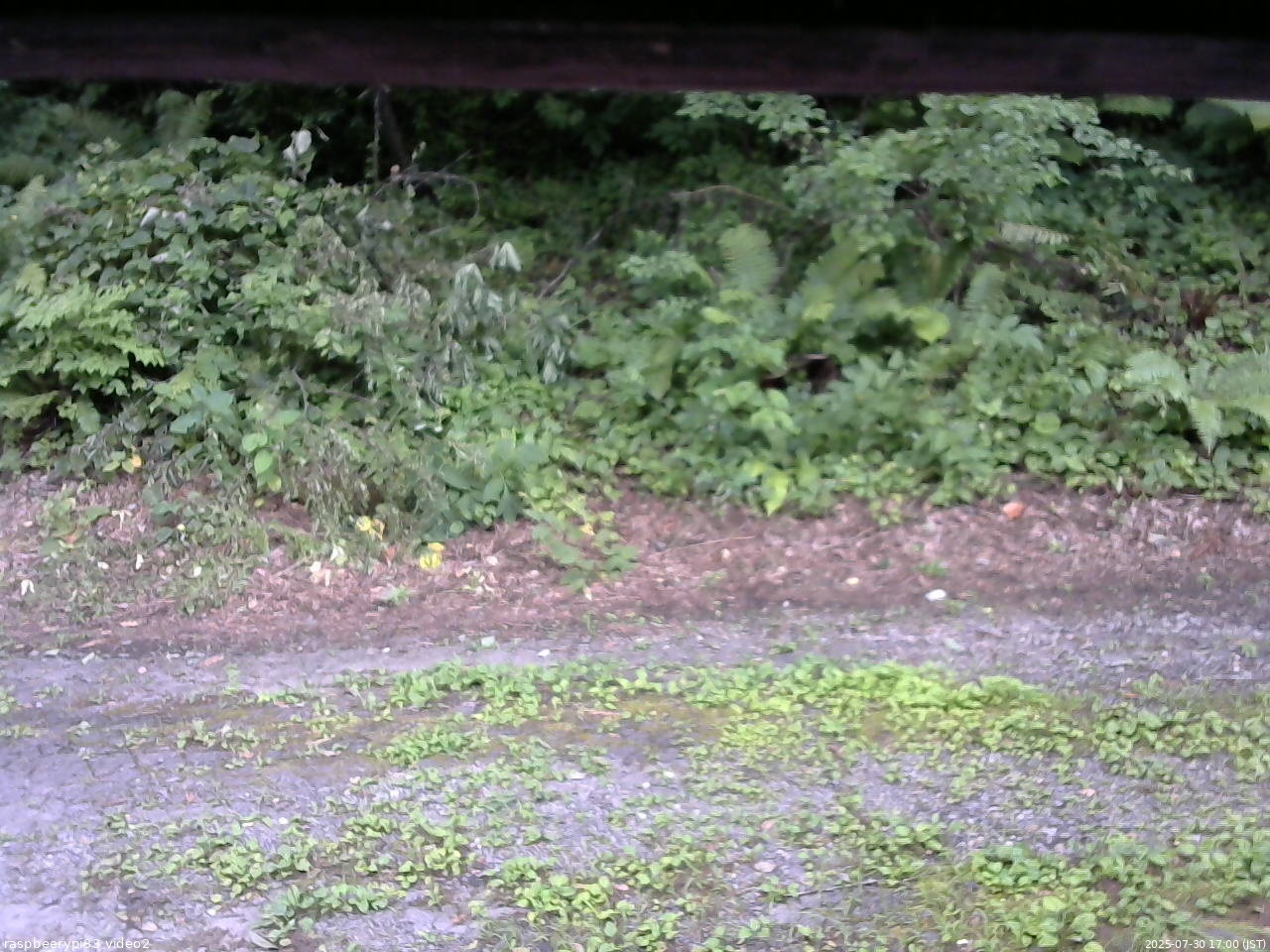 長野県菅平高原 ゆたか山荘 南側 2025/07/30 17:00