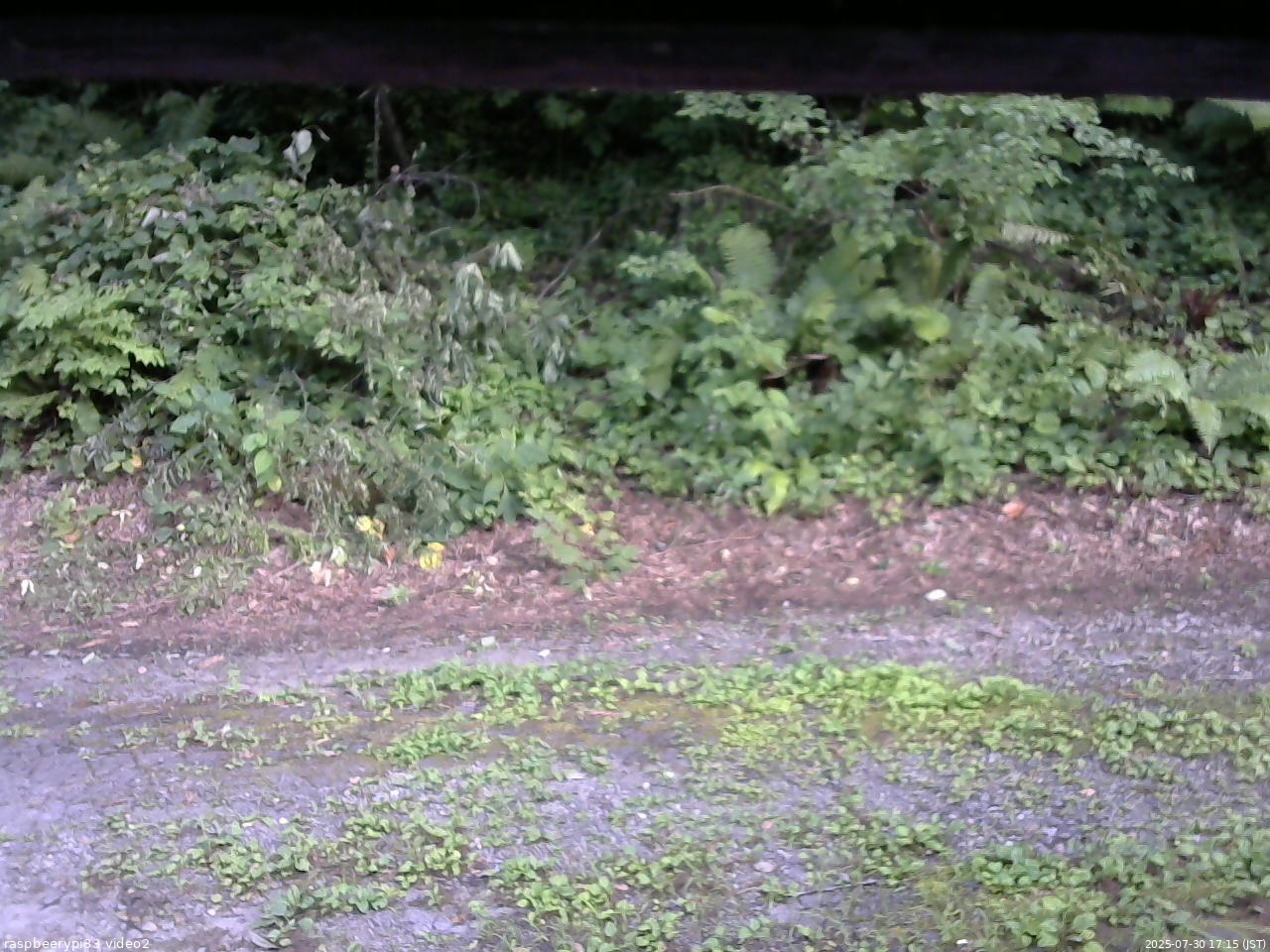 長野県菅平高原 ゆたか山荘 南側 2025/07/30 17:15