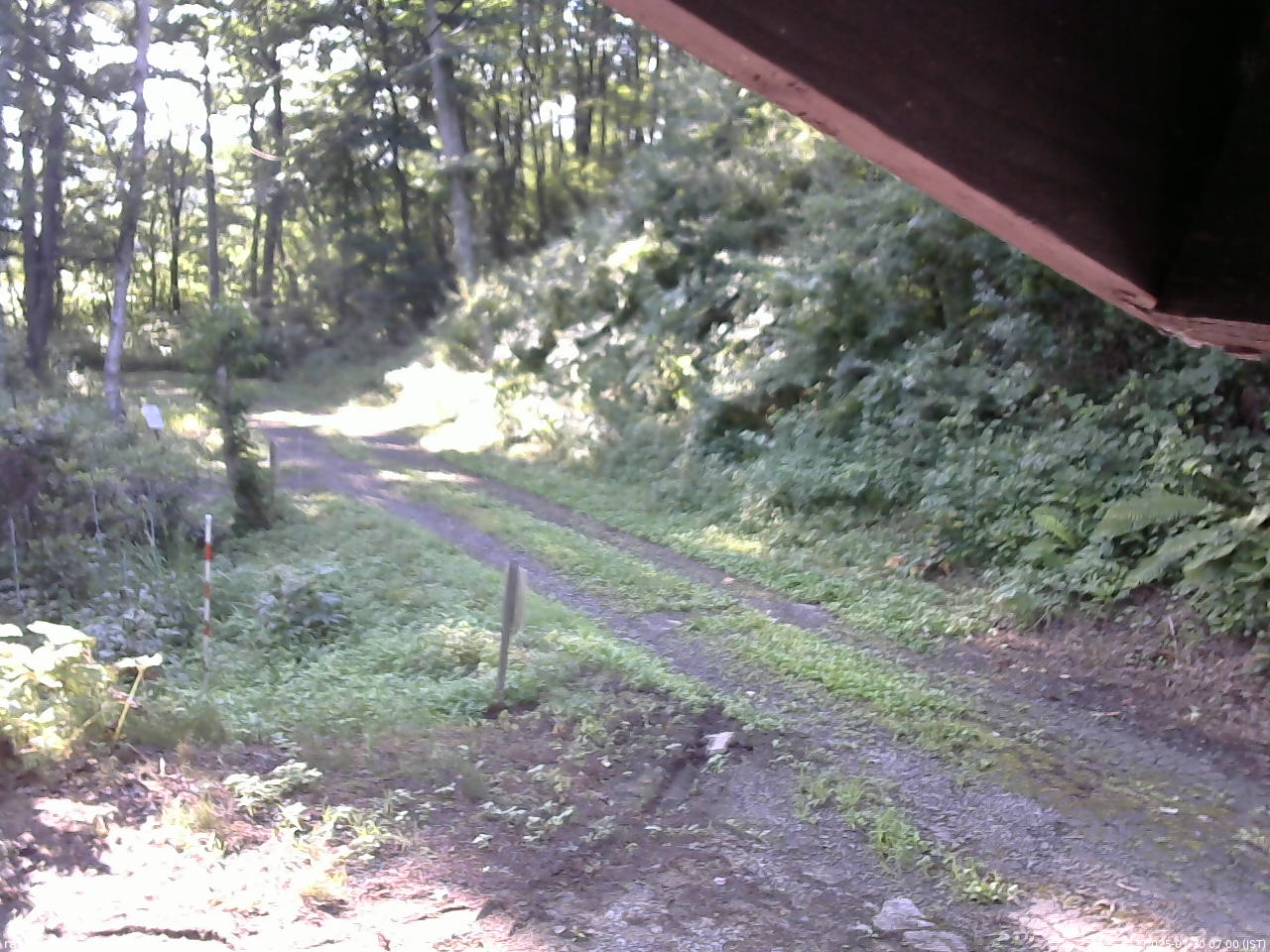 長野県菅平高原 ゆたか山荘 東側(坂下) 2025/07/30 07:00