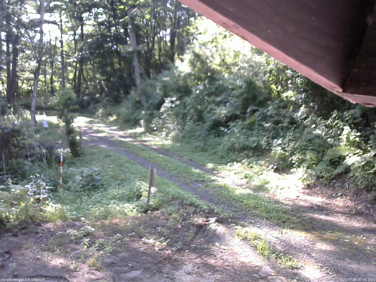 長野県菅平高原 ゆたか山荘 東側(坂下) 2025/07/30 07:45