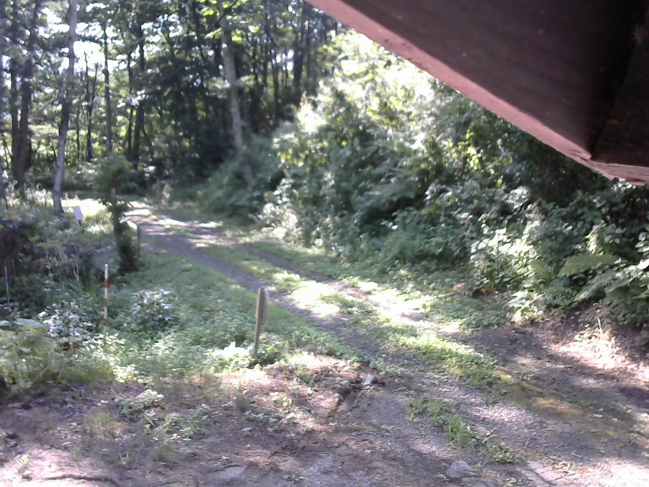長野県菅平高原 ゆたか山荘 東側(坂下) 2025/07/30 08:00