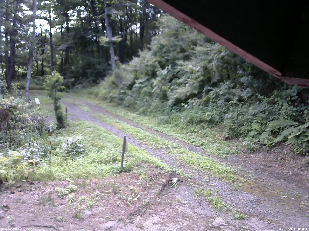 長野県菅平高原 ゆたか山荘 東側(坂下) 2025/07/30 09:00