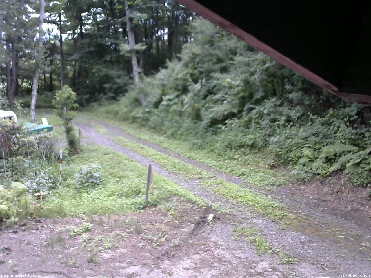 長野県菅平高原 ゆたか山荘 東側(坂下) 2025/07/30 09:45