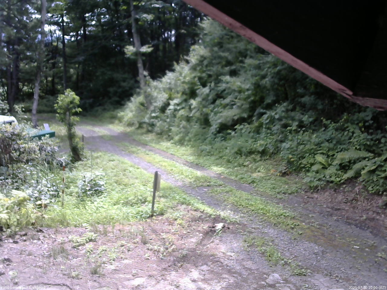 長野県菅平高原 ゆたか山荘 東側(坂下) 2025/07/30 10:00