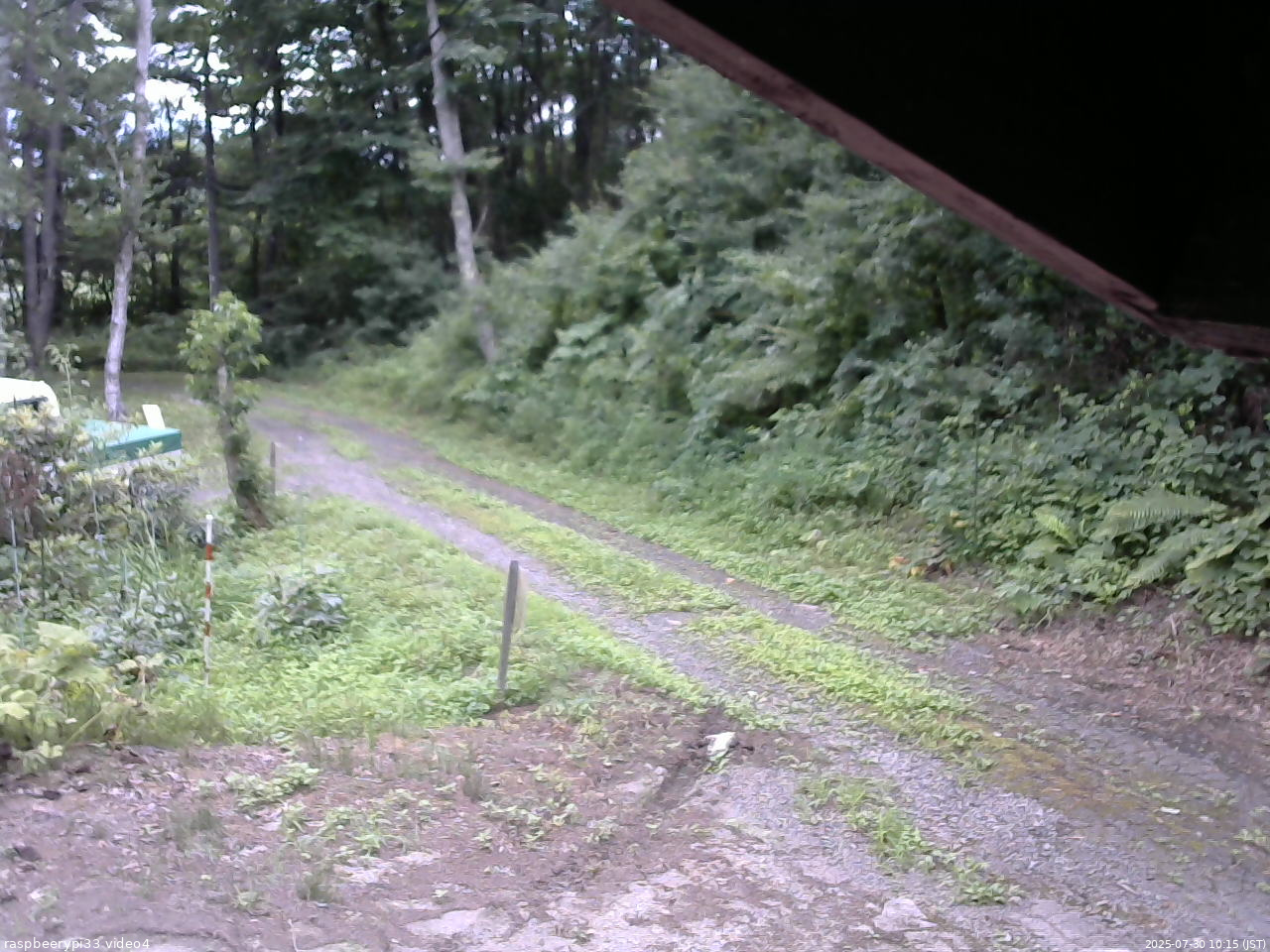 長野県菅平高原 ゆたか山荘 東側(坂下) 2025/07/30 10:15