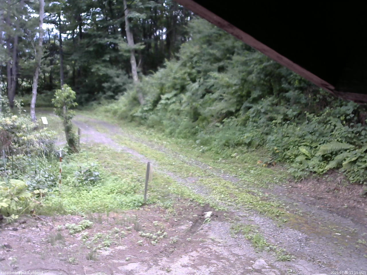 長野県菅平高原 ゆたか山荘 東側(坂下) 2025/07/30 11:15