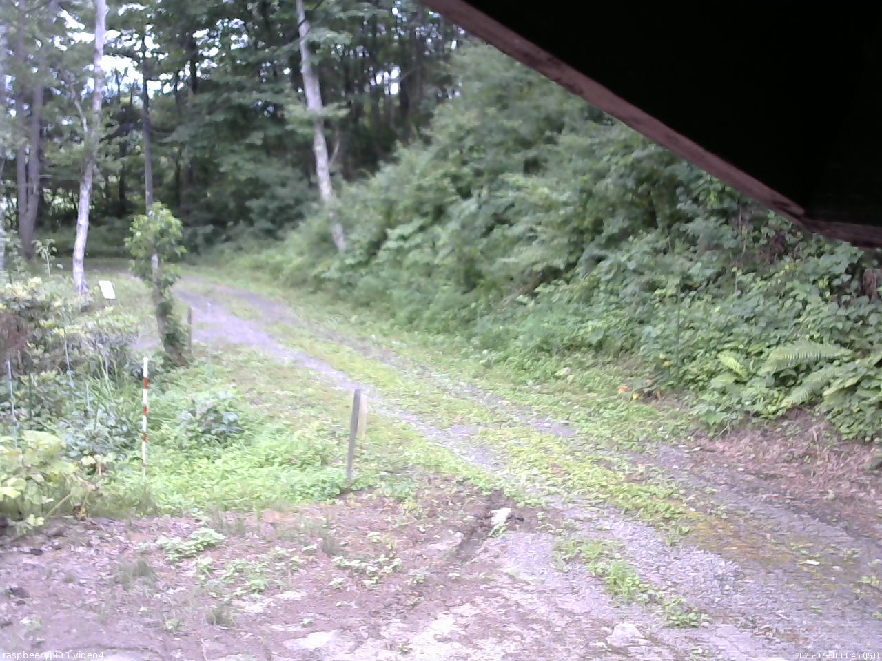 長野県菅平高原 ゆたか山荘 東側(坂下) 2025/07/30 11:45
