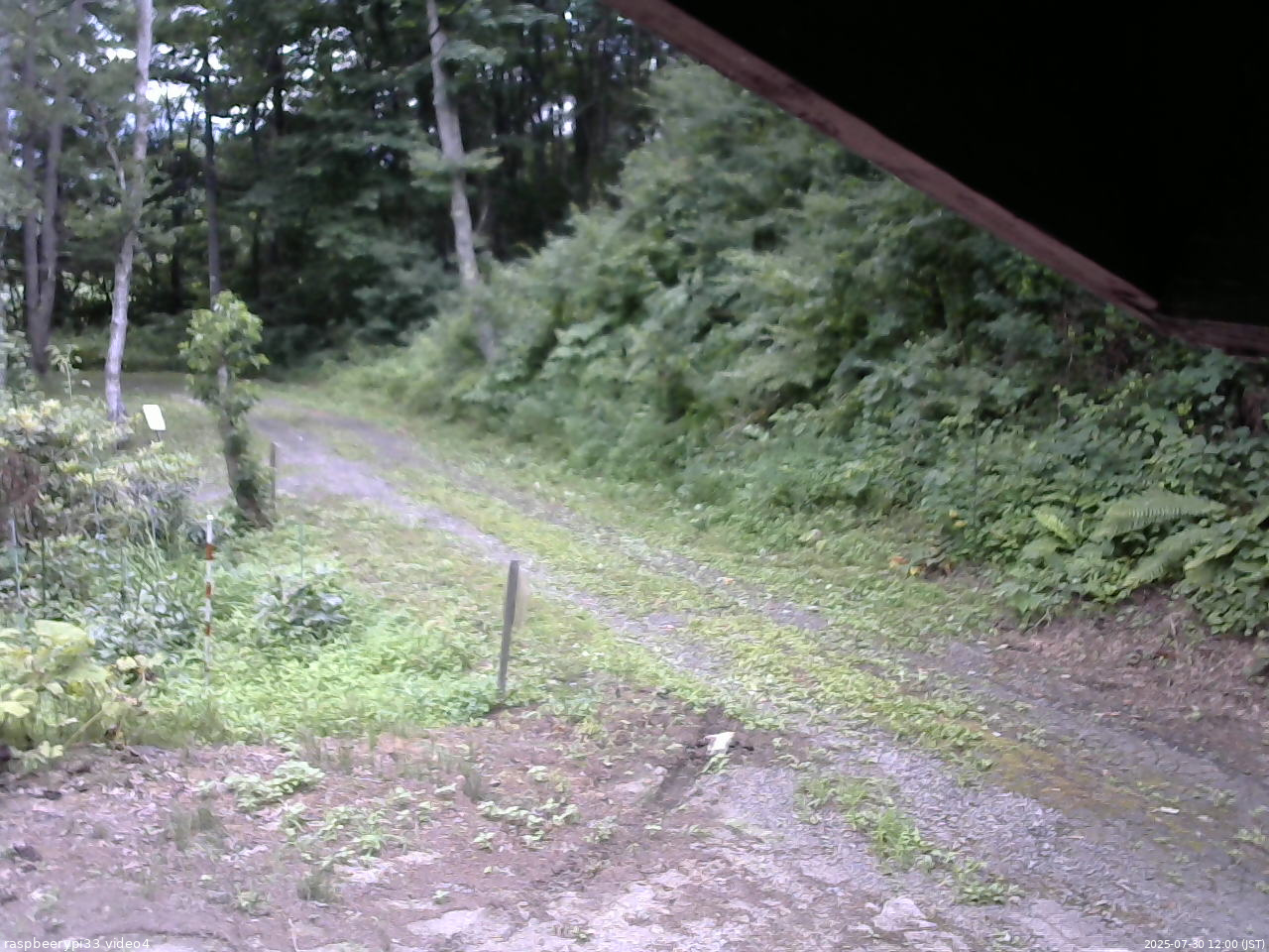 長野県菅平高原 ゆたか山荘 東側(坂下) 2025/07/30 12:00