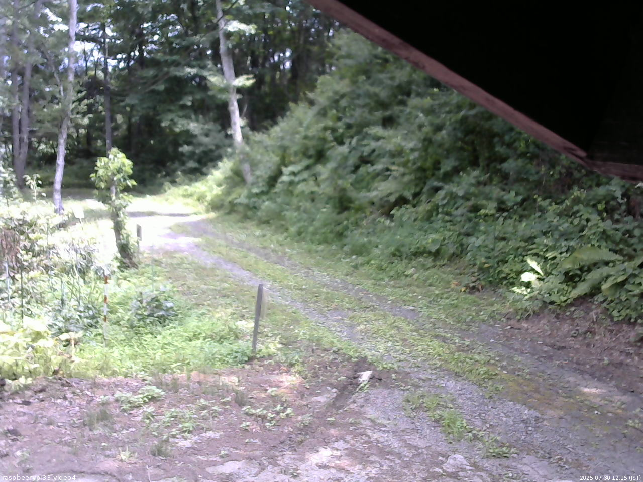 長野県菅平高原 ゆたか山荘 東側(坂下) 2025/07/30 12:15