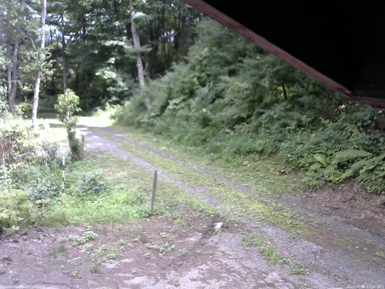 長野県菅平高原 ゆたか山荘 東側(坂下) 2025/07/30 13:00