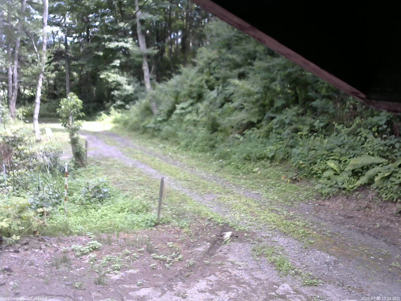長野県菅平高原 ゆたか山荘 東側(坂下) 2025/07/30 13:15