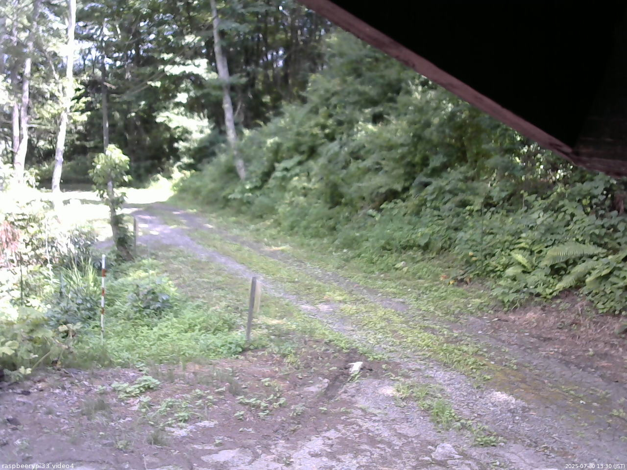 長野県菅平高原 ゆたか山荘 東側(坂下) 2025/07/30 13:30
