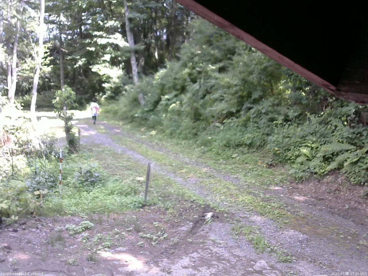 長野県菅平高原 ゆたか山荘 東側(坂下) 2025/07/30 13:45