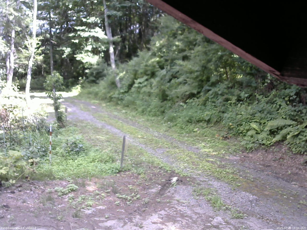 長野県菅平高原 ゆたか山荘 東側(坂下) 2025/07/30 14:00