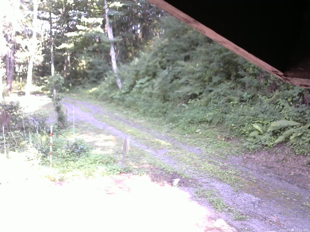 長野県菅平高原 ゆたか山荘 東側(坂下) 2025/07/30 15:15