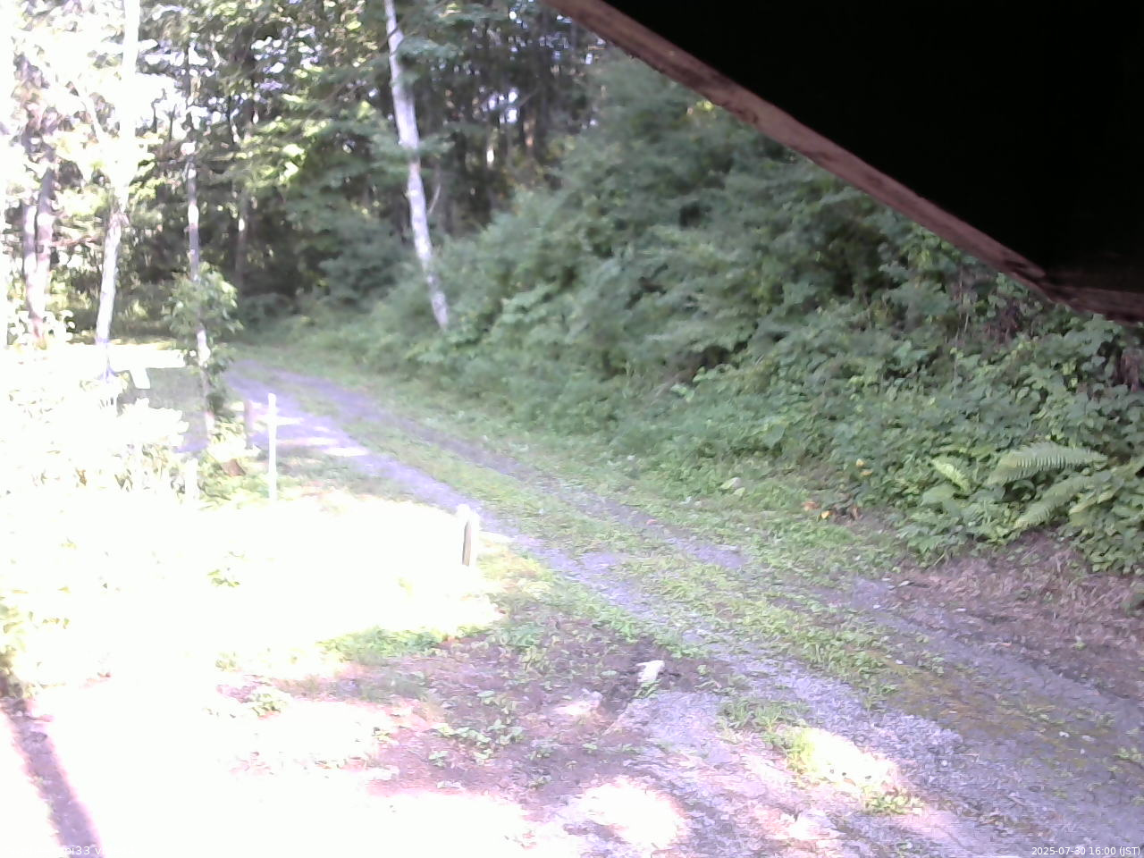長野県菅平高原 ゆたか山荘 東側(坂下) 2025/07/30 16:00