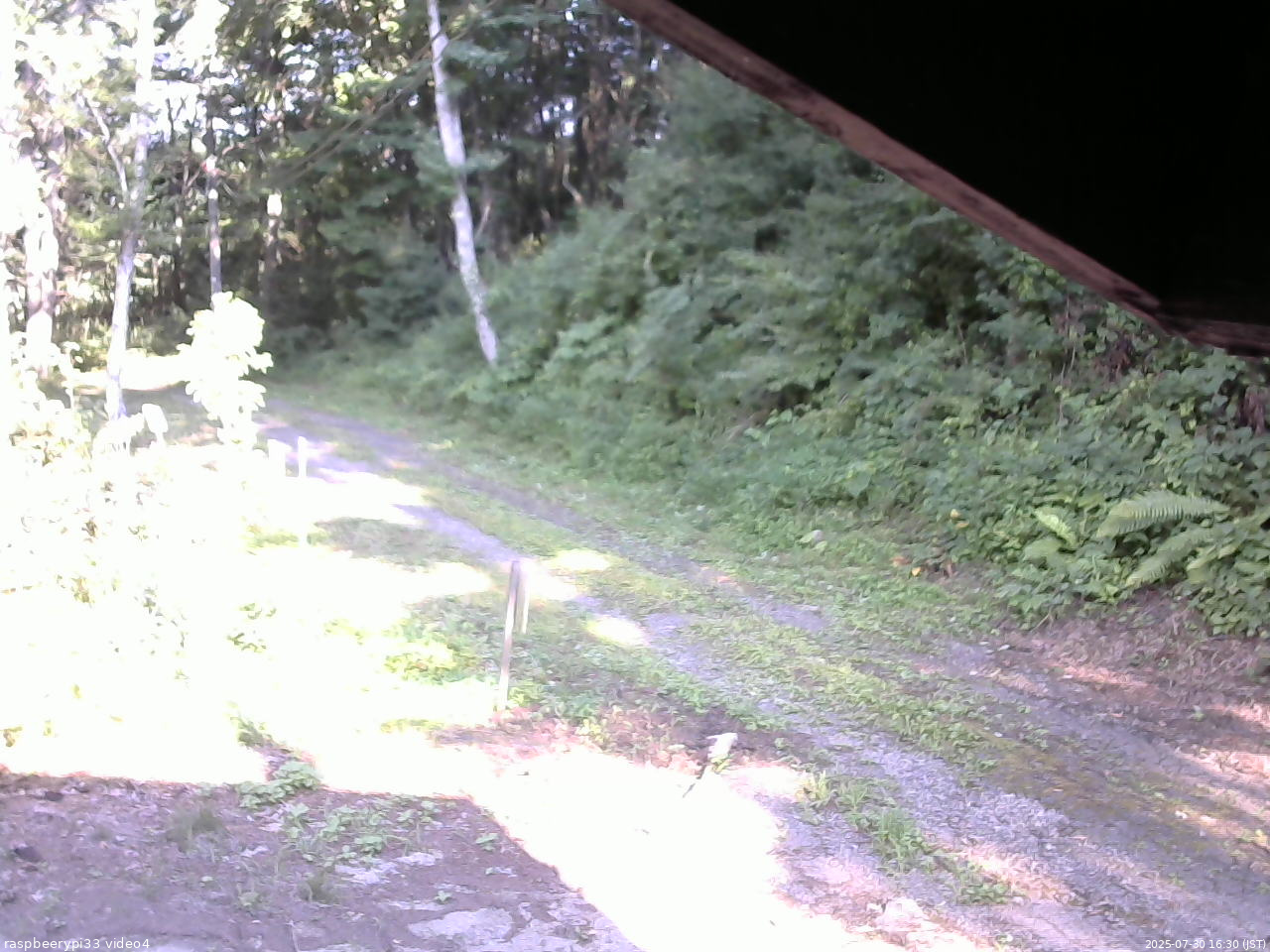 長野県菅平高原 ゆたか山荘 東側(坂下) 2025/07/30 16:30
