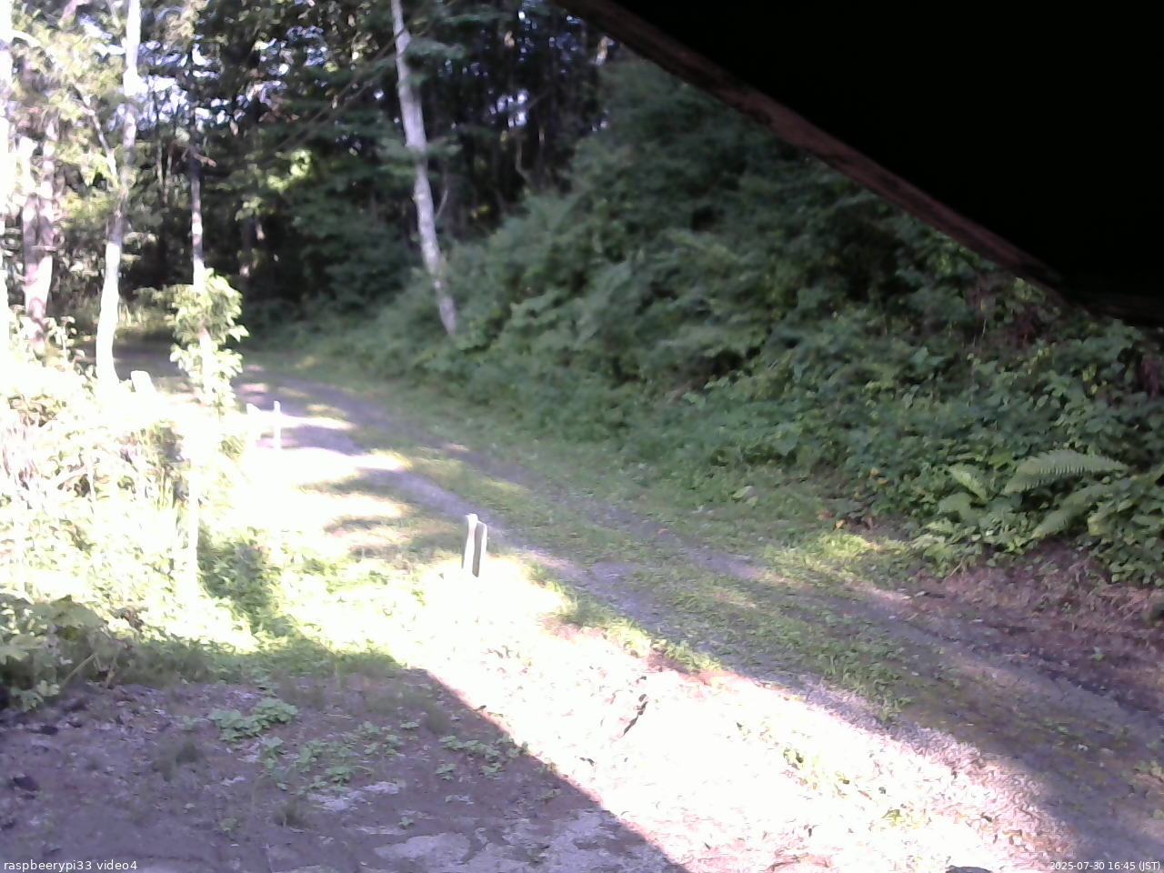 長野県菅平高原 ゆたか山荘 東側(坂下) 2025/07/30 16:45