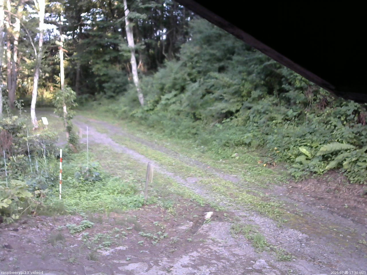 長野県菅平高原 ゆたか山荘 東側(坂下) 2025/07/30 17:30