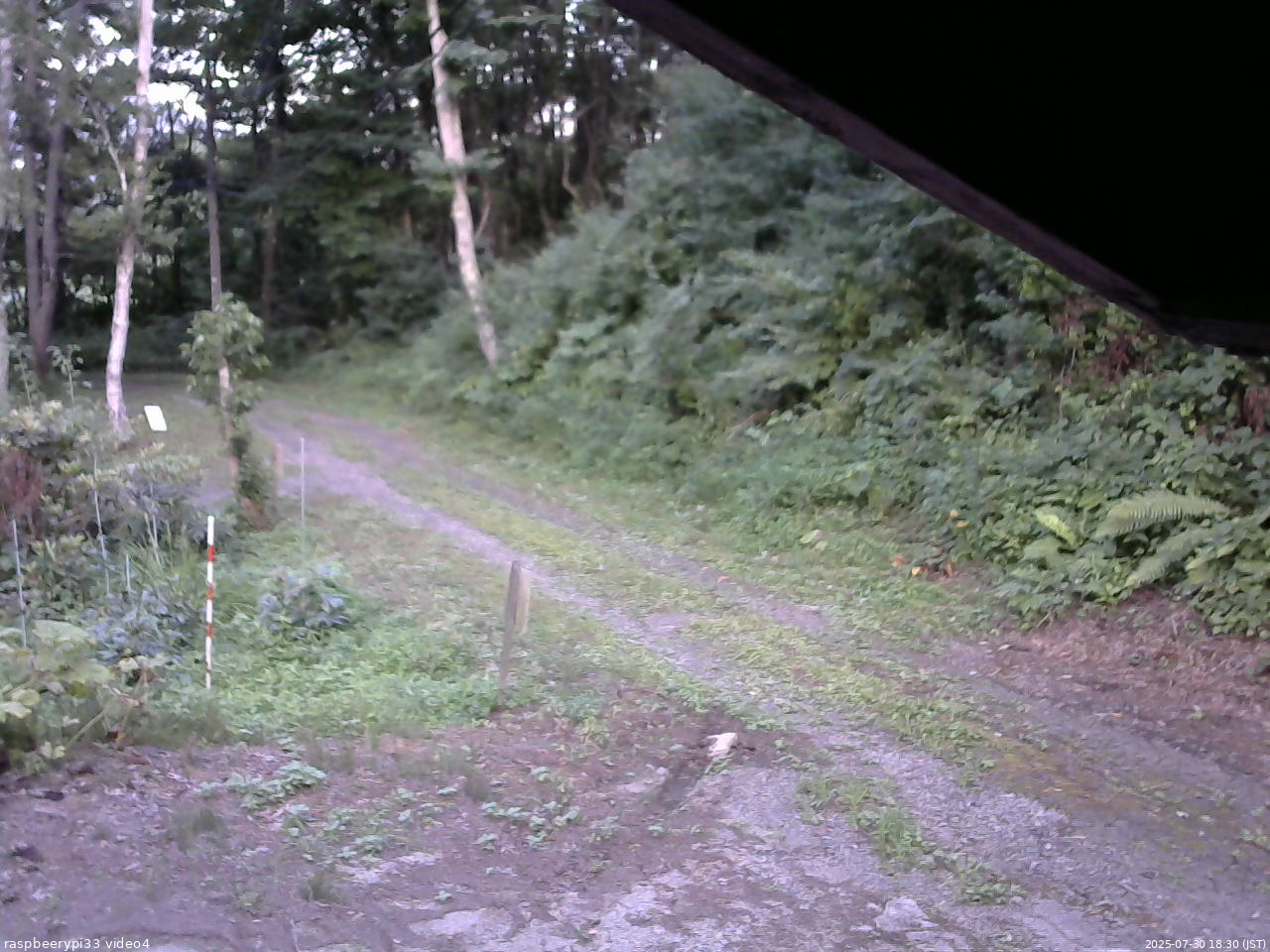 長野県菅平高原 ゆたか山荘 東側(坂下) 2025/07/30 18:30
