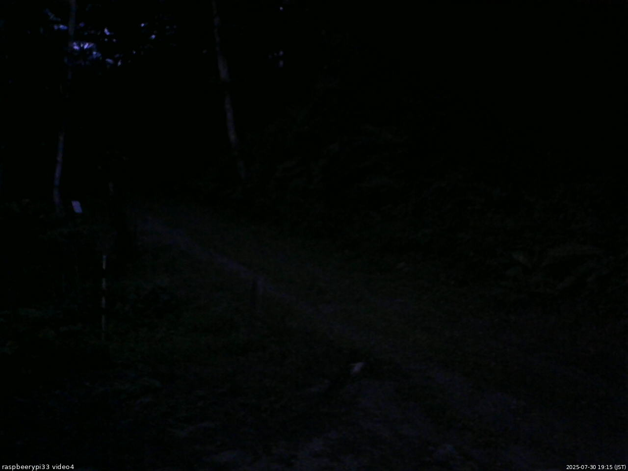長野県菅平高原 ゆたか山荘 東側(坂下) 2025/07/30 19:15