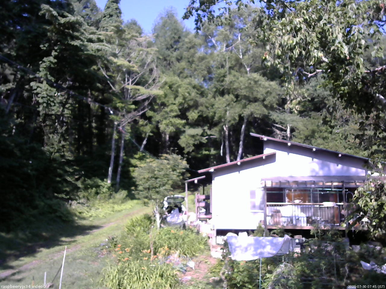 長野県菅平高原 ゆたか山荘 西側(坂上) 2025/07/30 07:45