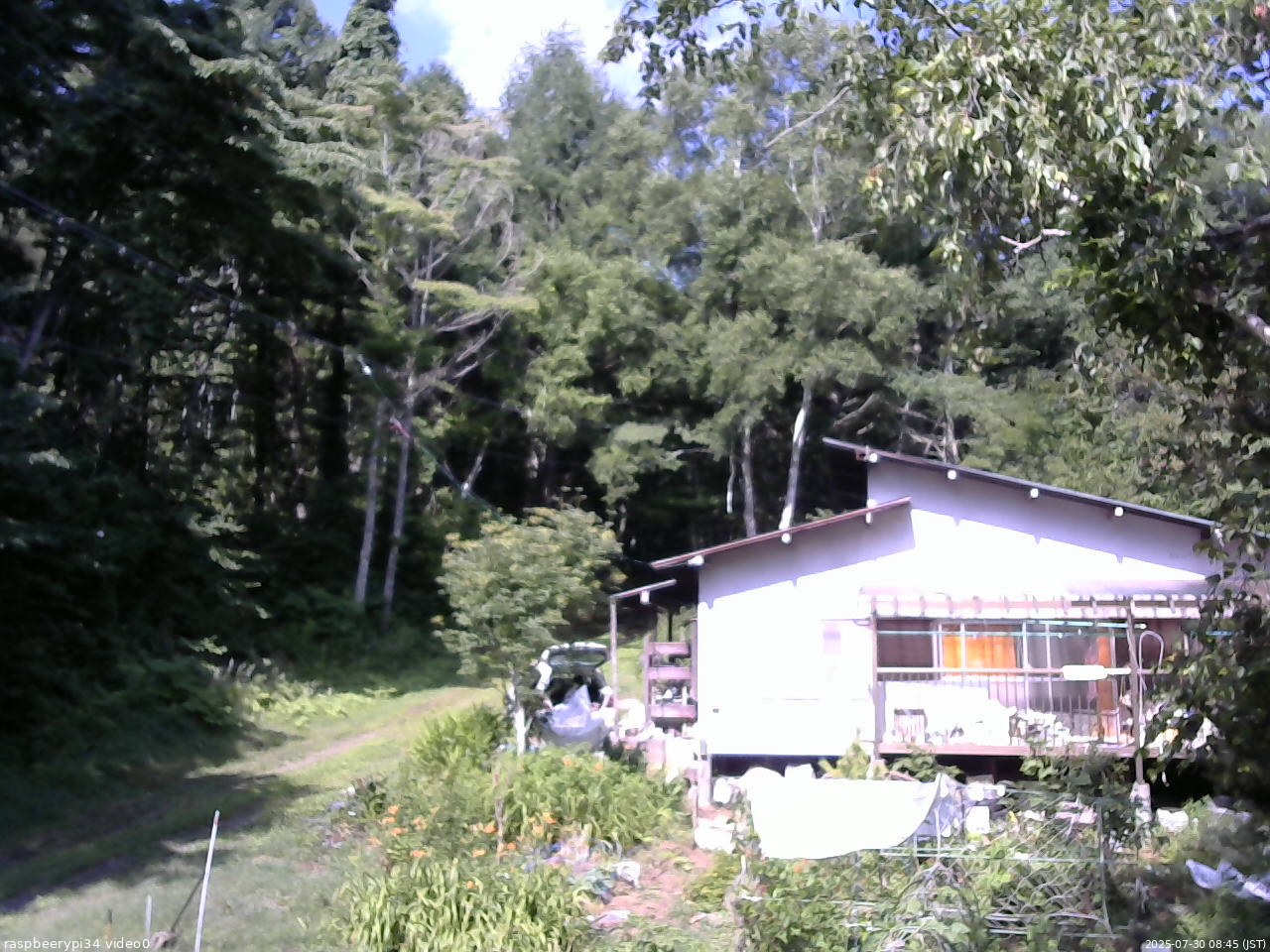 長野県菅平高原 ゆたか山荘 西側(坂上) 2025/07/30 08:45