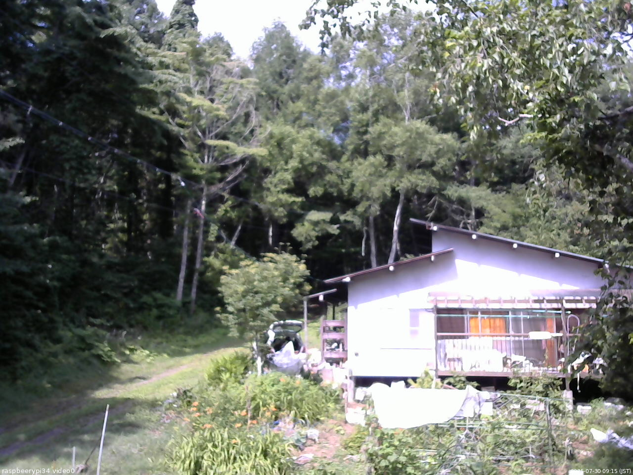 長野県菅平高原 ゆたか山荘 西側(坂上) 2025/07/30 09:15