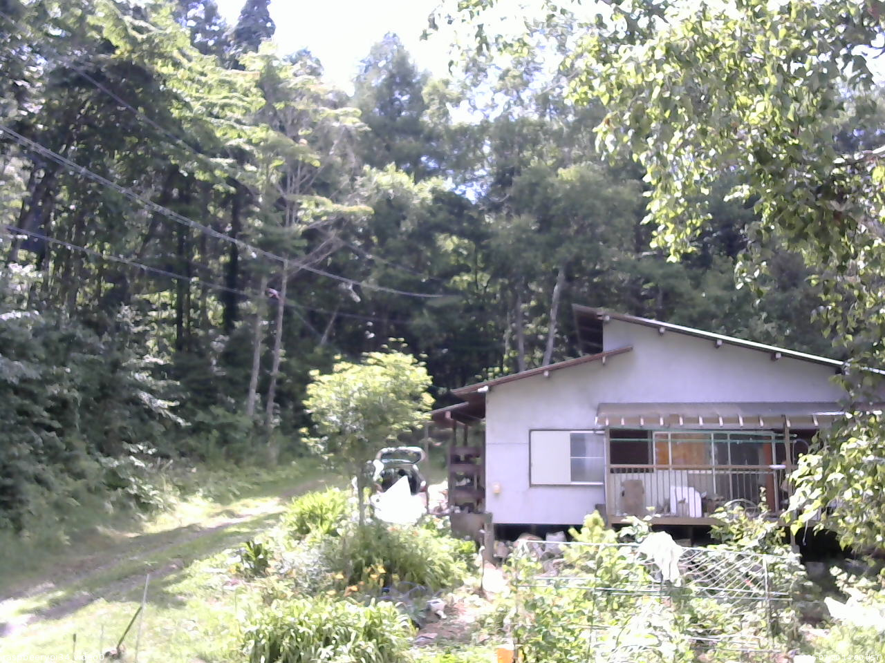 長野県菅平高原 ゆたか山荘 西側(坂上) 2025/07/30 14:00