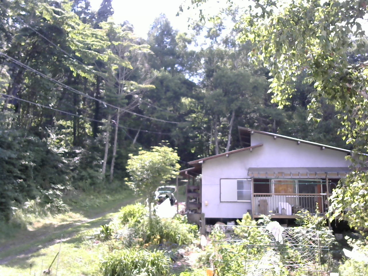 長野県菅平高原 ゆたか山荘 西側(坂上) 2025/07/30 14:30