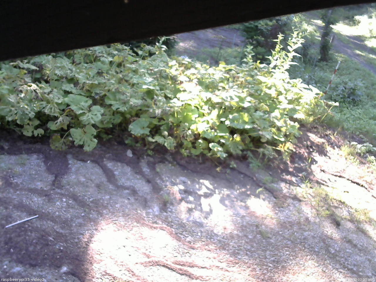 長野県菅平高原 ゆたか山荘 駐車場 2025/07/30 07:00