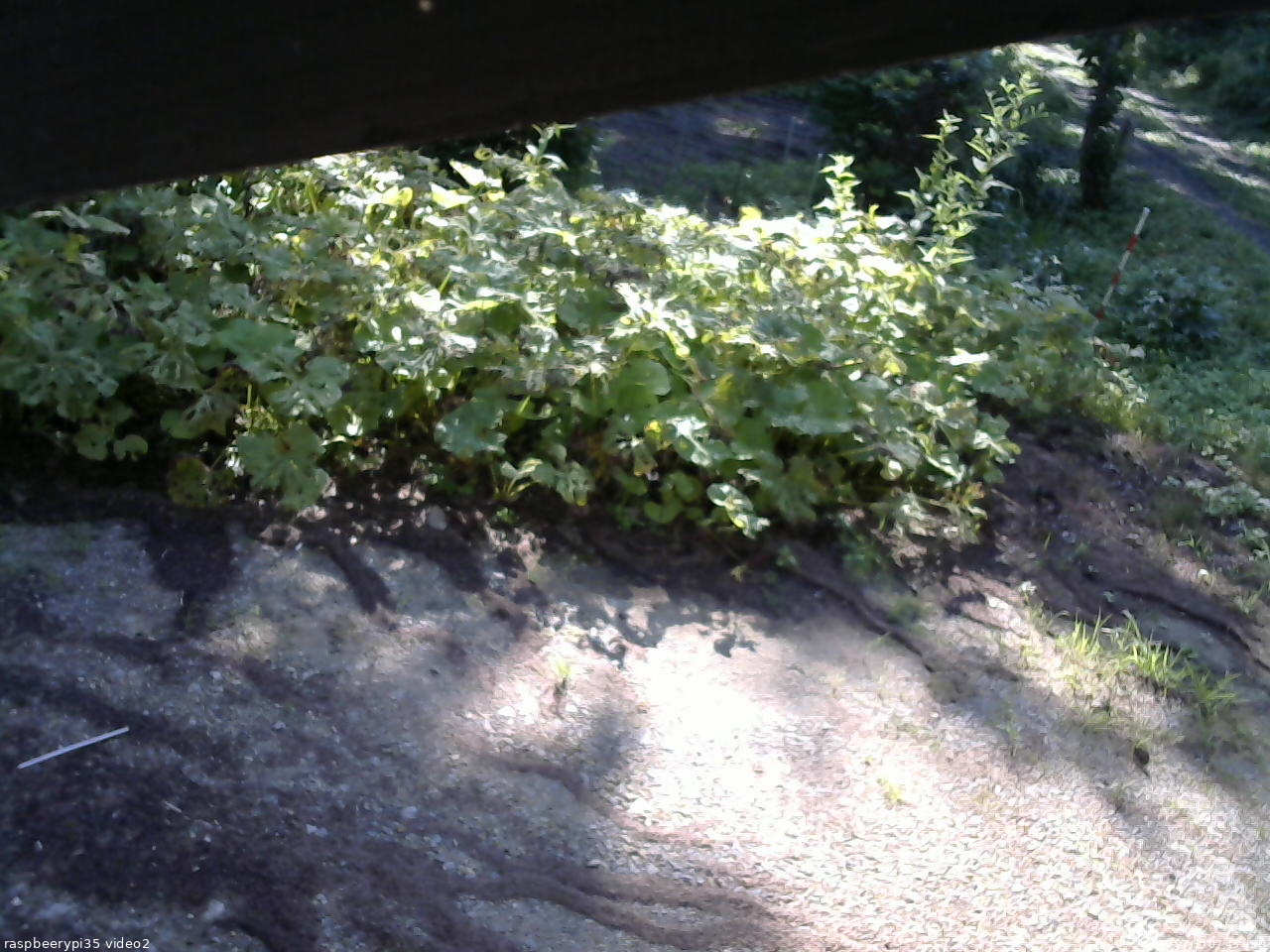 長野県菅平高原 ゆたか山荘 駐車場 2025/07/30 07:45