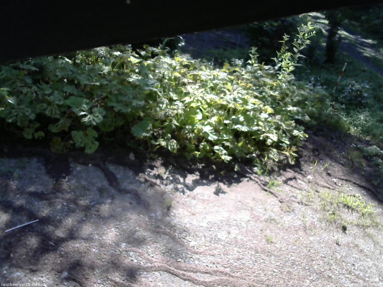 長野県菅平高原 ゆたか山荘 駐車場 2025/07/30 08:00
